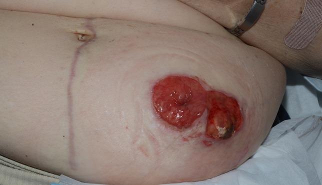 https://cdn.ncbi.nlm.nih.gov/pmc/blobs/054b/4906534/239bc30ec830/rjw103f01.jpg