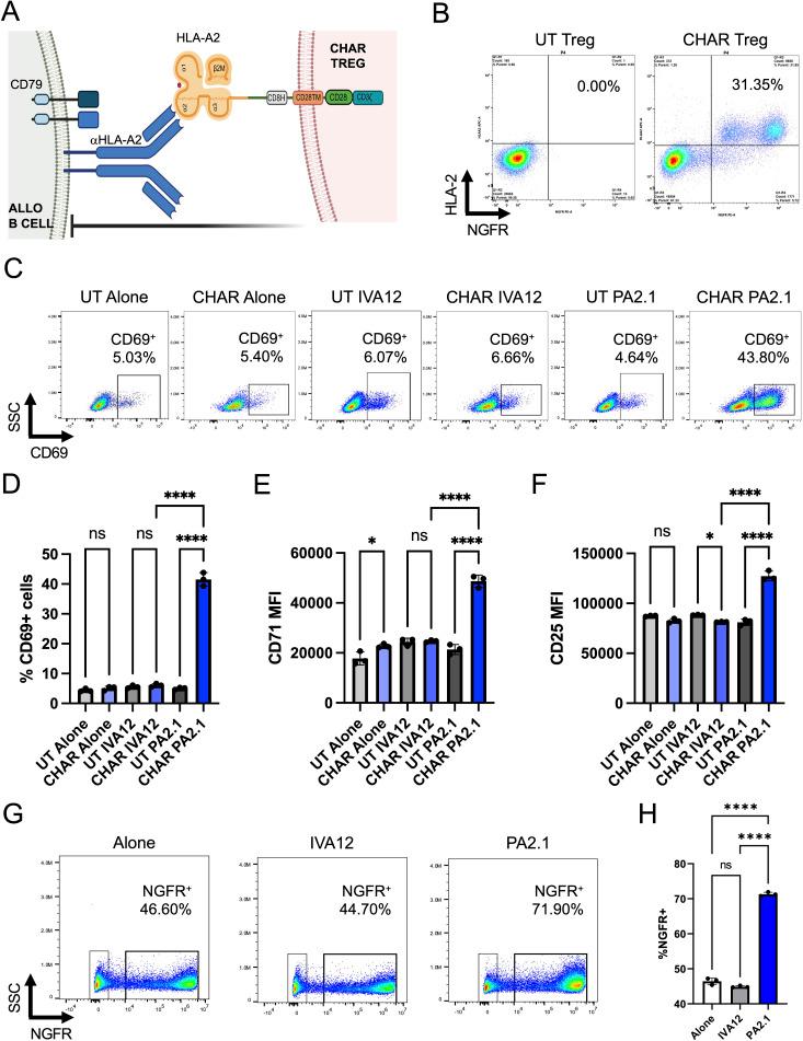 https://cdn.ncbi.nlm.nih.gov/pmc/blobs/054f/12394524/0c8713e00590/fimmu-16-1601385-g001.jpg