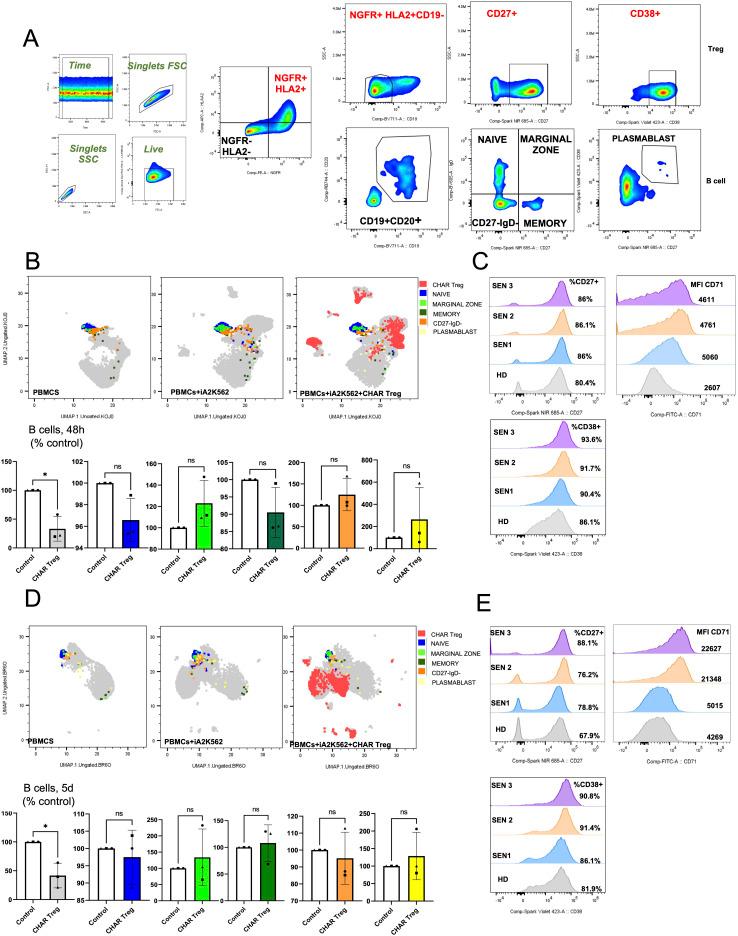 https://cdn.ncbi.nlm.nih.gov/pmc/blobs/054f/12394524/26ca8b7eb36c/fimmu-16-1601385-g004.jpg
