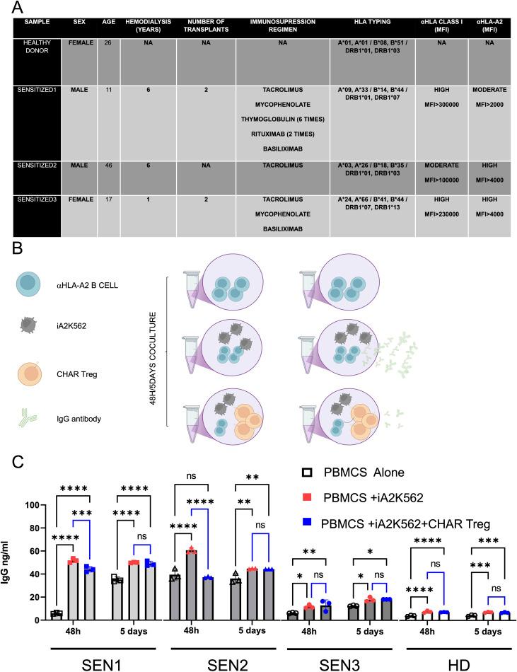 https://cdn.ncbi.nlm.nih.gov/pmc/blobs/054f/12394524/c22cca75c0a4/fimmu-16-1601385-g003.jpg