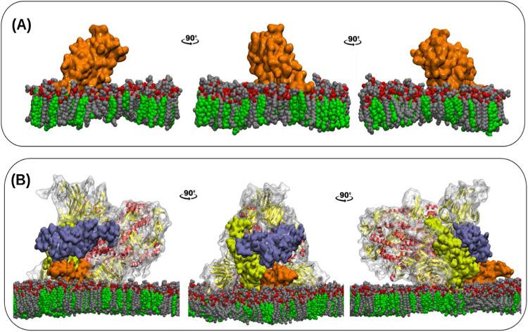 https://cdn.ncbi.nlm.nih.gov/pmc/blobs/0550/12175161/f49318bec241/mt5c00776_0007.jpg