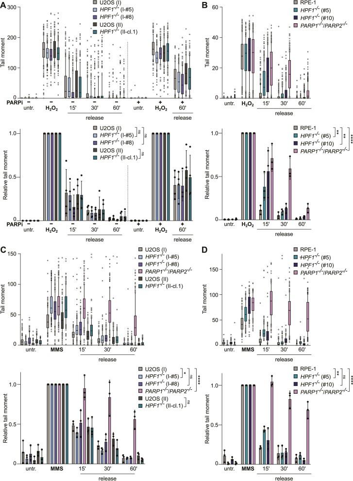 https://cdn.ncbi.nlm.nih.gov/pmc/blobs/0555/11472159/23b8eac14af8/gkae708fig2.jpg