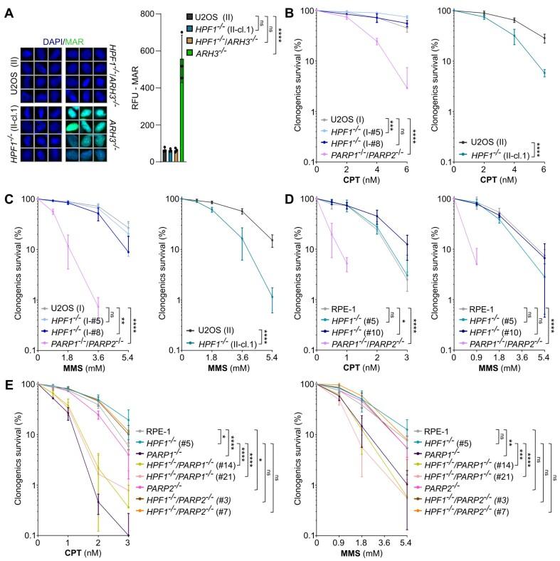https://cdn.ncbi.nlm.nih.gov/pmc/blobs/0555/11472159/fe408c7b5ad0/gkae708fig1.jpg
