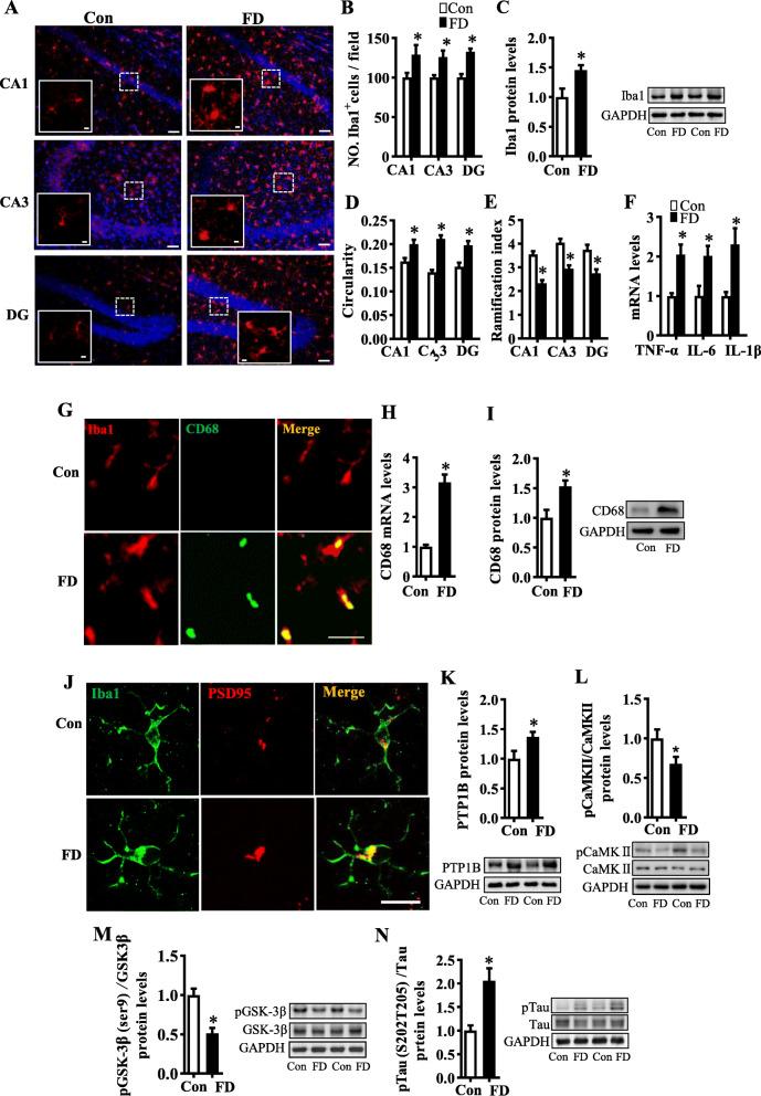 https://cdn.ncbi.nlm.nih.gov/pmc/blobs/0555/8582174/1c9709aadc1b/40168_2021_1172_Fig3_HTML.jpg