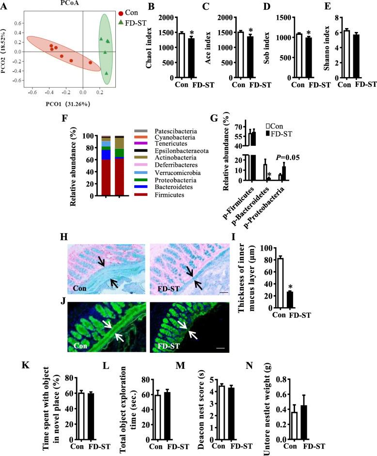 https://cdn.ncbi.nlm.nih.gov/pmc/blobs/0555/8582174/4649f5bee4ce/40168_2021_1172_Fig5_HTML.jpg