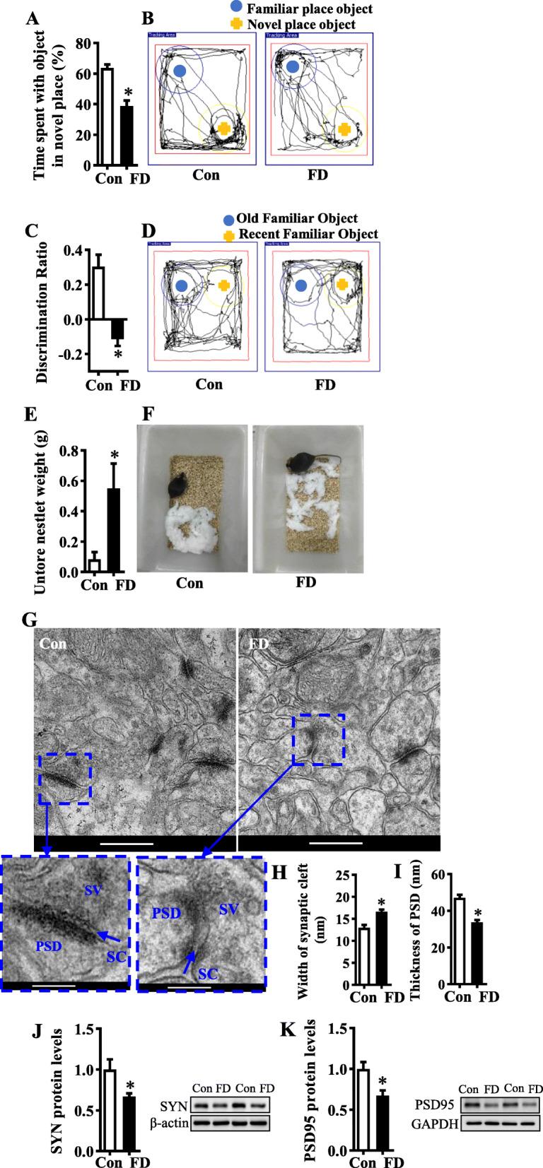 https://cdn.ncbi.nlm.nih.gov/pmc/blobs/0555/8582174/8c648943a8ba/40168_2021_1172_Fig1_HTML.jpg