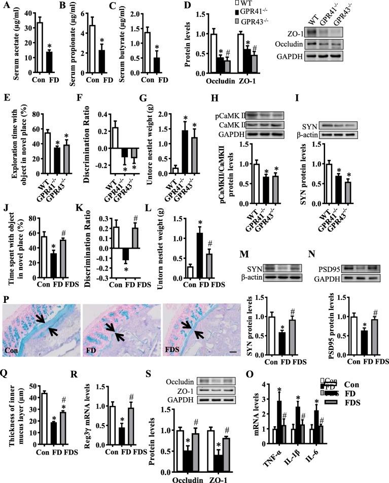 https://cdn.ncbi.nlm.nih.gov/pmc/blobs/0555/8582174/f2d2e0ebca44/40168_2021_1172_Fig6_HTML.jpg