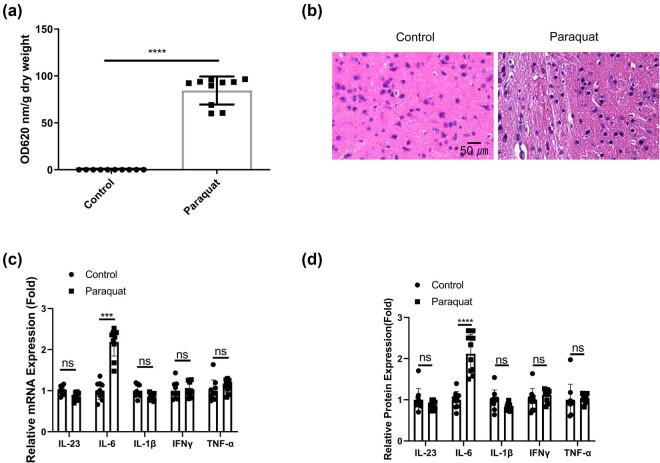 https://cdn.ncbi.nlm.nih.gov/pmc/blobs/0558/11406143/0777ba8e898b/j_med-2024-1020-fig001.jpg