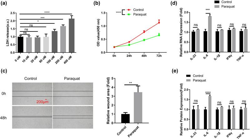 https://cdn.ncbi.nlm.nih.gov/pmc/blobs/0558/11406143/1721f026f8a1/j_med-2024-1020-fig002.jpg