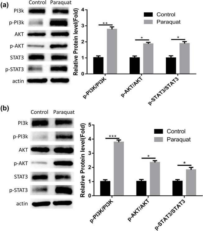 https://cdn.ncbi.nlm.nih.gov/pmc/blobs/0558/11406143/2e462512c350/j_med-2024-1020-fig003.jpg