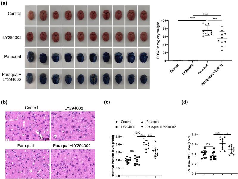https://cdn.ncbi.nlm.nih.gov/pmc/blobs/0558/11406143/a9fb6fdaa9b6/j_med-2024-1020-fig005.jpg