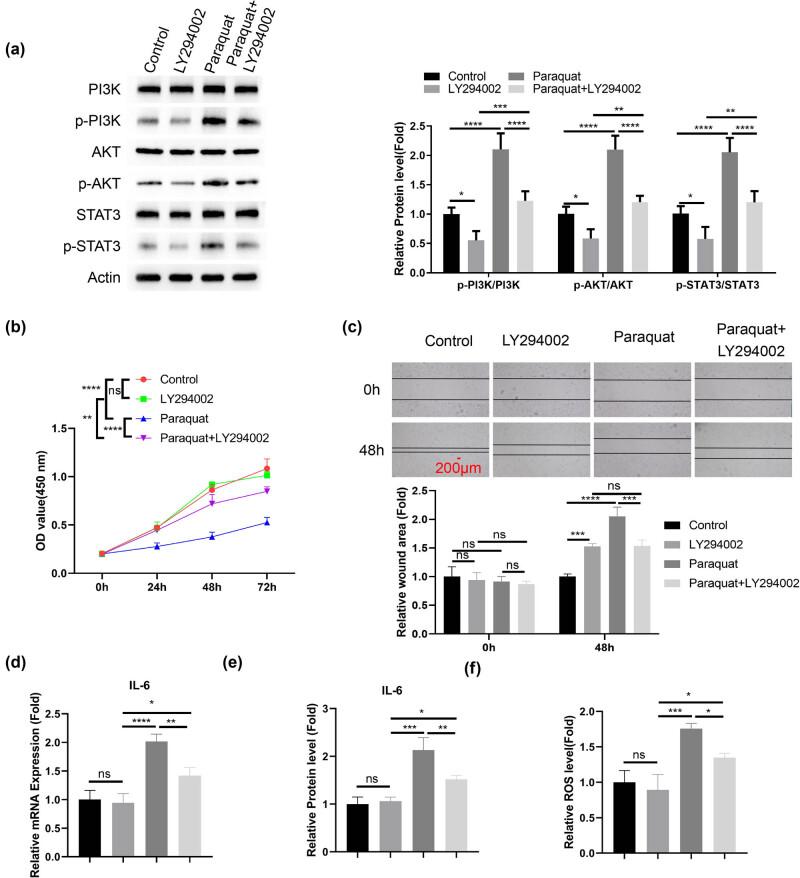 https://cdn.ncbi.nlm.nih.gov/pmc/blobs/0558/11406143/e3ce34e38700/j_med-2024-1020-fig004.jpg