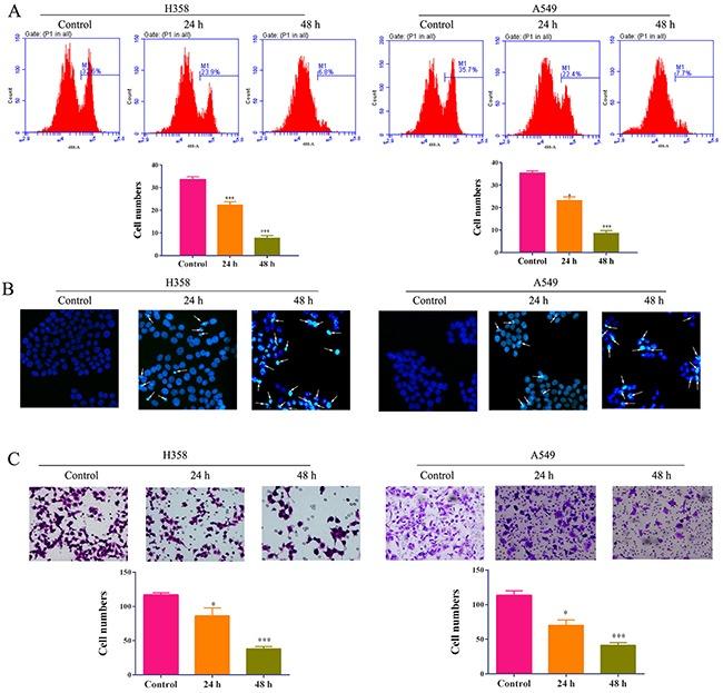 https://cdn.ncbi.nlm.nih.gov/pmc/blobs/0558/5601733/6342ffbf721e/oncotarget-08-59301-g002.jpg