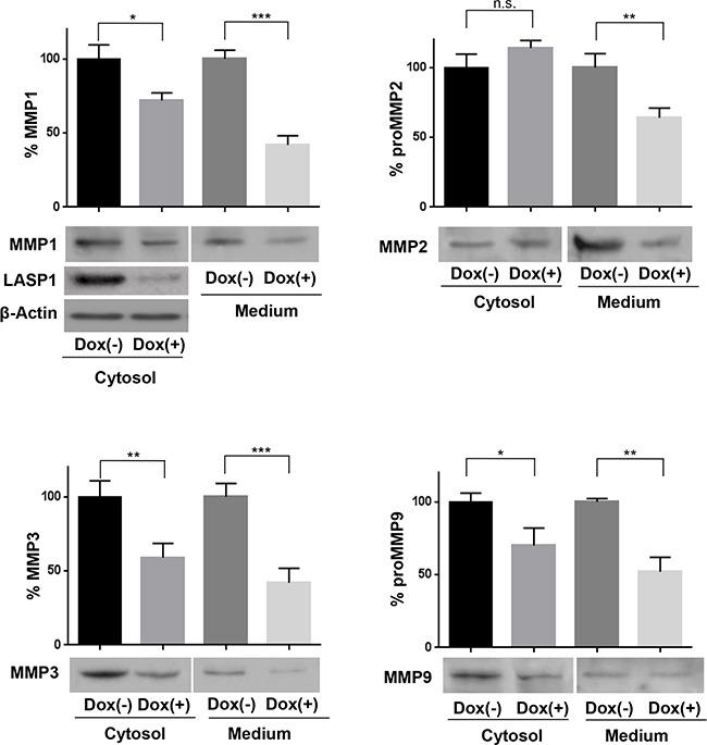 https://cdn.ncbi.nlm.nih.gov/pmc/blobs/0559/5325439/01aa7fb21e07/oncotarget-07-64244-g003.jpg