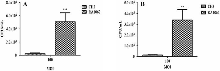 https://cdn.ncbi.nlm.nih.gov/pmc/blobs/0559/6142336/21dcec802daa/13567_2018_589_Fig5_HTML.jpg