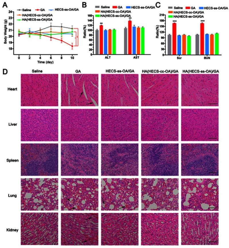 https://cdn.ncbi.nlm.nih.gov/pmc/blobs/055e/6603291/3088e8d8f552/IJN-14-4649-g0010.jpg