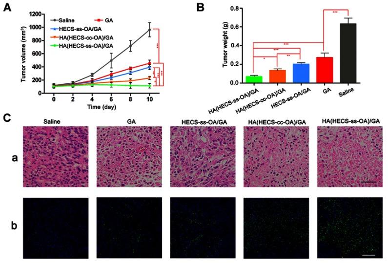 https://cdn.ncbi.nlm.nih.gov/pmc/blobs/055e/6603291/3493ec7fe4e5/IJN-14-4649-g0009.jpg