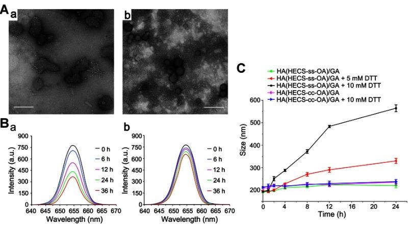 https://cdn.ncbi.nlm.nih.gov/pmc/blobs/055e/6603291/b0f5366e484f/IJN-14-4649-g0005.jpg
