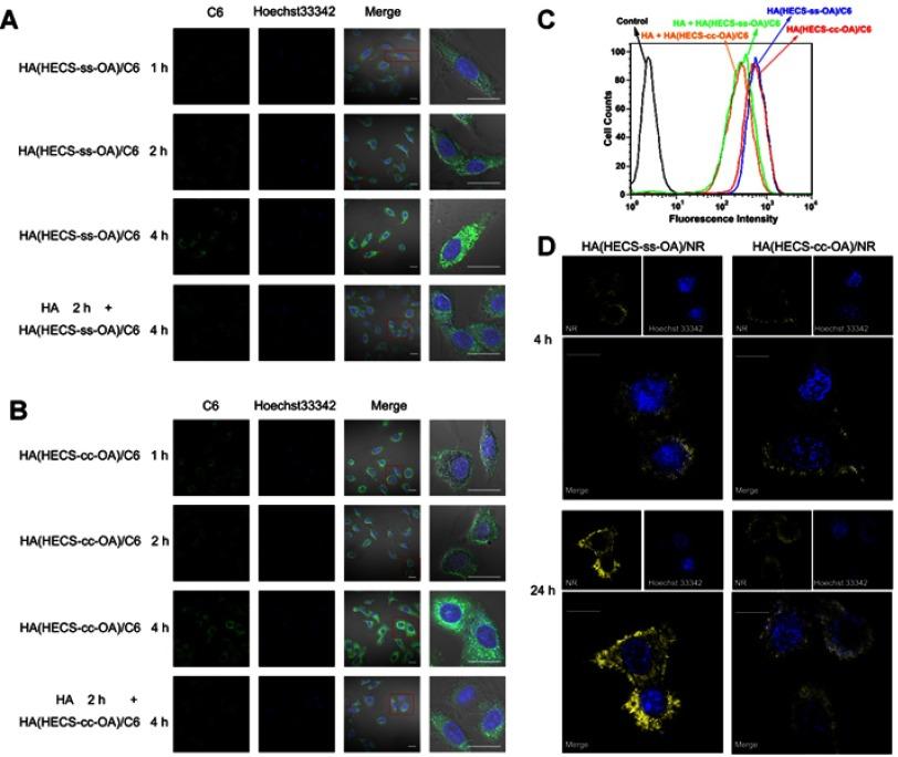 https://cdn.ncbi.nlm.nih.gov/pmc/blobs/055e/6603291/ea27936759dc/IJN-14-4649-g0006.jpg