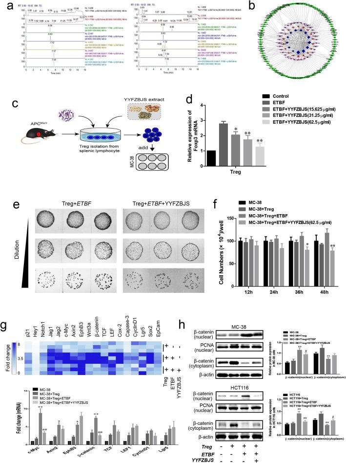 https://cdn.ncbi.nlm.nih.gov/pmc/blobs/055e/7367414/8ab3ae4b8268/12964_2020_596_Fig6_HTML.jpg