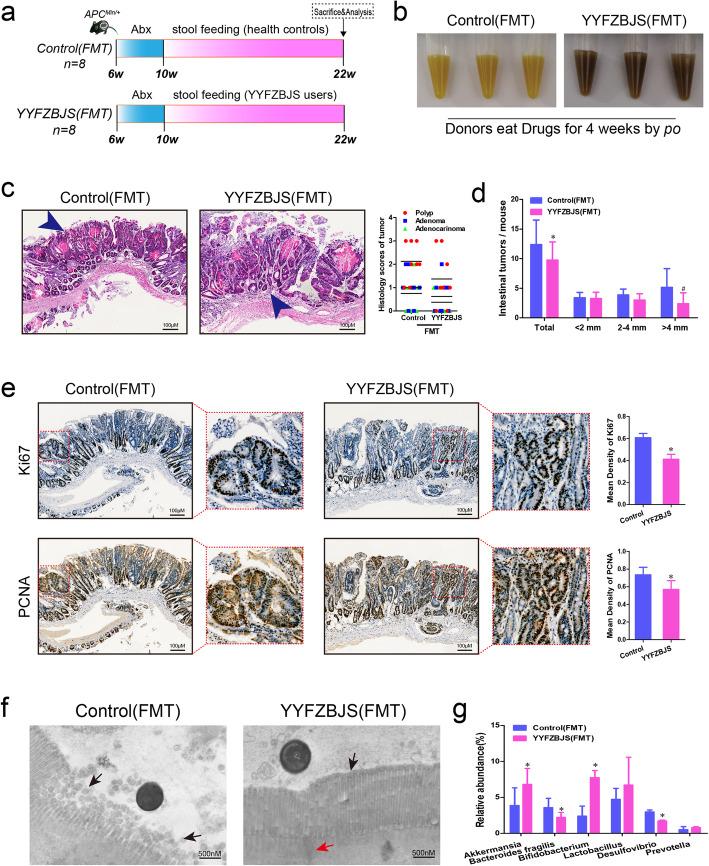 https://cdn.ncbi.nlm.nih.gov/pmc/blobs/055e/7367414/f909a7551850/12964_2020_596_Fig3_HTML.jpg