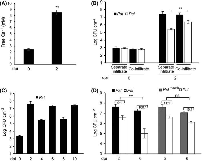 https://cdn.ncbi.nlm.nih.gov/pmc/blobs/0561/6922522/cde25fd66eaa/MBT2-13-134-g006.jpg
