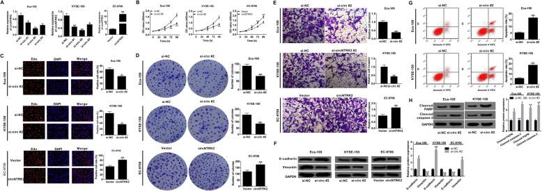 https://cdn.ncbi.nlm.nih.gov/pmc/blobs/0563/7353745/aa35a7aafaa1/13046_2020_1640_Fig2_HTML.jpg