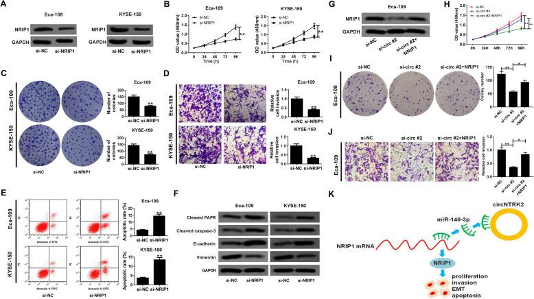https://cdn.ncbi.nlm.nih.gov/pmc/blobs/0563/7353745/b7b99c327f1a/13046_2020_1640_Fig6_HTML.jpg