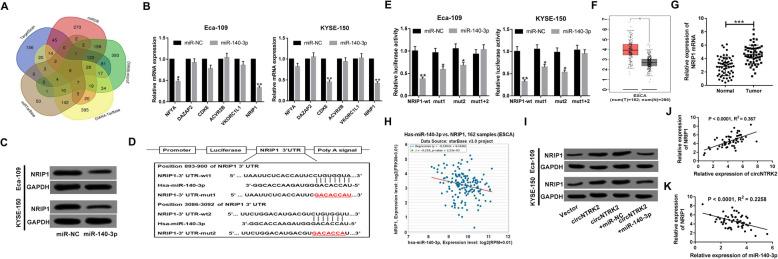 https://cdn.ncbi.nlm.nih.gov/pmc/blobs/0563/7353745/ce08a543ddc2/13046_2020_1640_Fig5_HTML.jpg