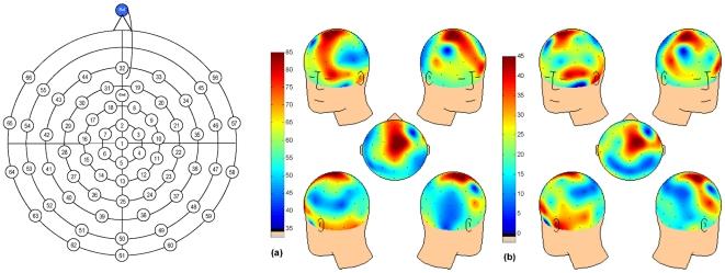 https://cdn.ncbi.nlm.nih.gov/pmc/blobs/0565/3050980/97a98d4e7cf8/pone.0017325.g001.jpg