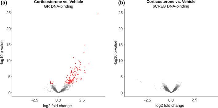 https://cdn.ncbi.nlm.nih.gov/pmc/blobs/0566/9292385/145498ddb3a3/EJN-55-2666-g005.jpg