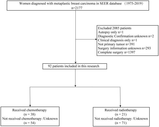 https://cdn.ncbi.nlm.nih.gov/pmc/blobs/0569/12104186/7e774552bbb2/fonc-15-1534204-g001.jpg