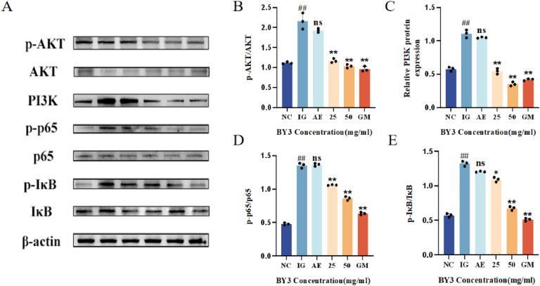 https://cdn.ncbi.nlm.nih.gov/pmc/blobs/0569/12205336/1d682102d0ba/gr6.jpg