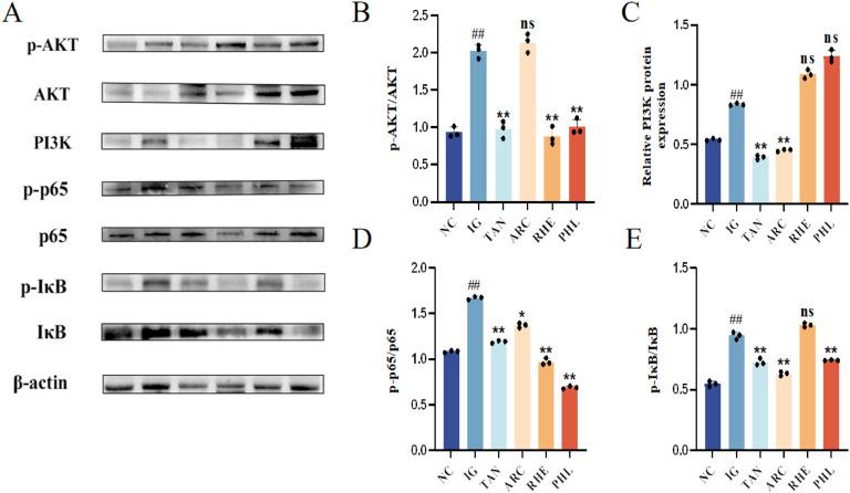 https://cdn.ncbi.nlm.nih.gov/pmc/blobs/0569/12205336/66e6920f77e1/gr11.jpg