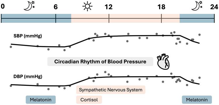 https://cdn.ncbi.nlm.nih.gov/pmc/blobs/056a/12179137/f6627d9d6f1d/fcvm-12-1583046-g001.jpg