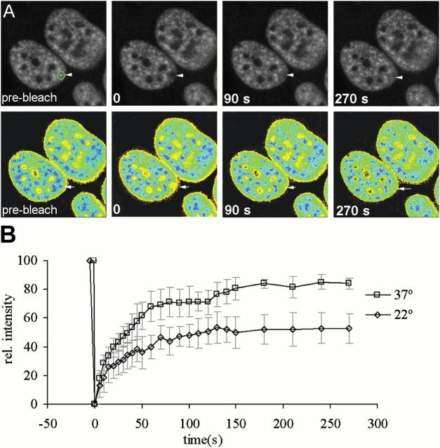 https://cdn.ncbi.nlm.nih.gov/pmc/blobs/056c/2172041/45bb4f76e61b/200310139f7.jpg