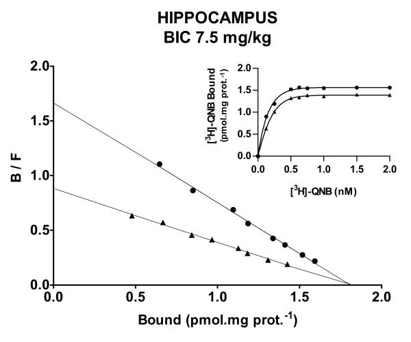 https://cdn.ncbi.nlm.nih.gov/pmc/blobs/056d/1463000/72a567078fe6/1471-2202-7-32-5.jpg
