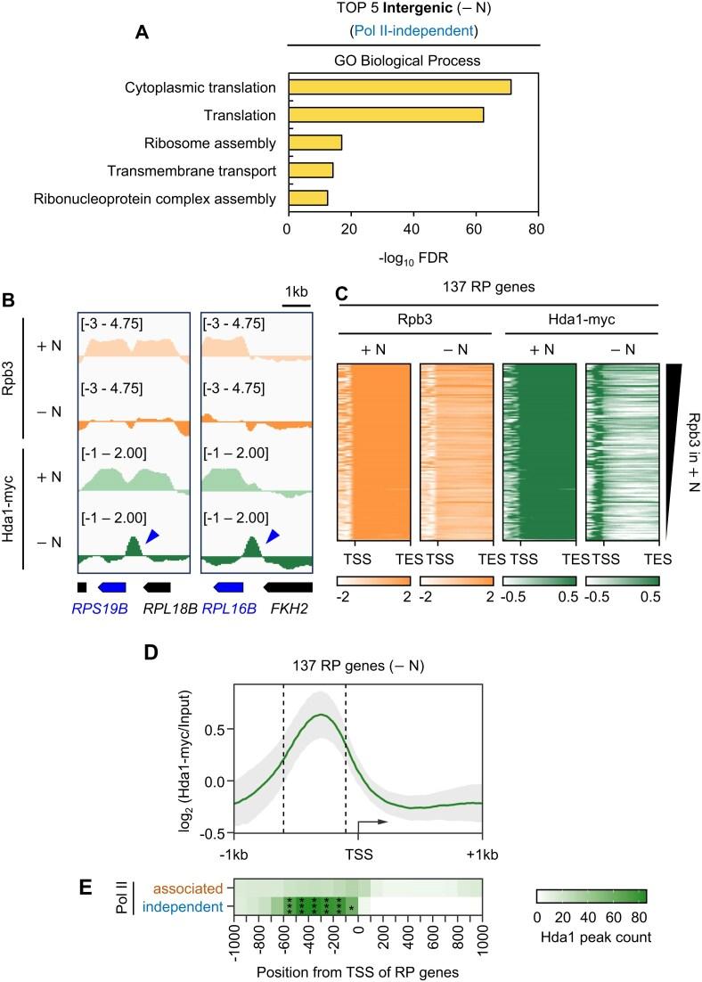 https://cdn.ncbi.nlm.nih.gov/pmc/blobs/056e/12006795/cd98e2646edc/gkaf256fig3.jpg