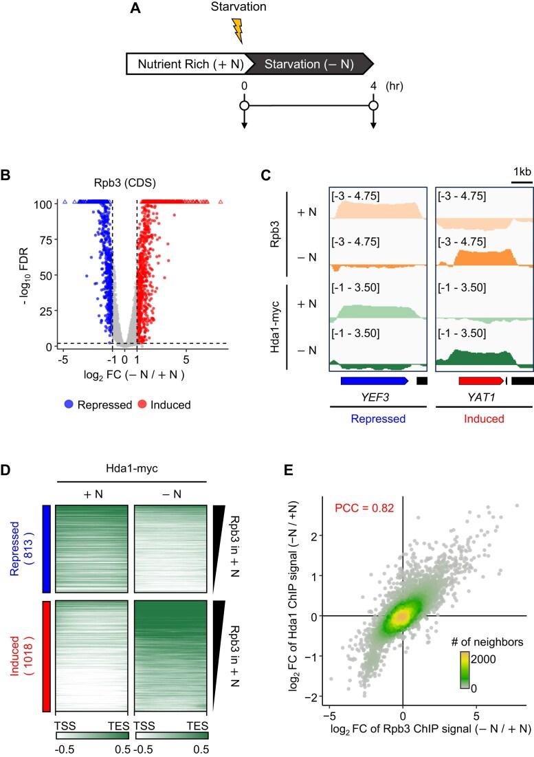 https://cdn.ncbi.nlm.nih.gov/pmc/blobs/056e/12006795/ff42c7a3a19b/gkaf256fig1.jpg