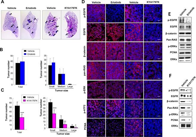 https://cdn.ncbi.nlm.nih.gov/pmc/blobs/0570/6345925/7240a79bb21b/41598_2018_37059_Fig6_HTML.jpg