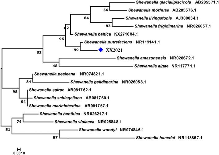 https://cdn.ncbi.nlm.nih.gov/pmc/blobs/0574/9618692/471b2b397ff6/fcimb-12-1042977-g003.jpg