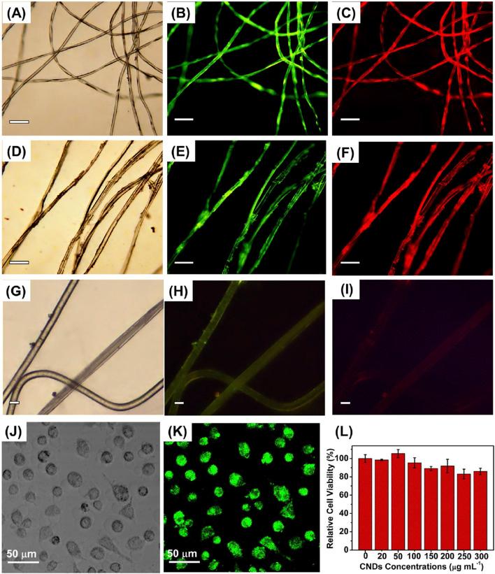 https://cdn.ncbi.nlm.nih.gov/pmc/blobs/0575/11518822/82a7a9159779/fchem-12-1458804-g008.jpg
