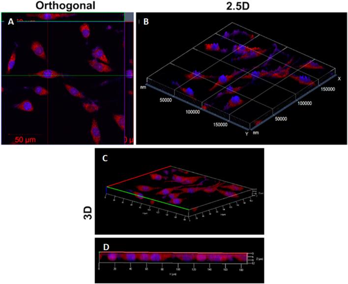 https://cdn.ncbi.nlm.nih.gov/pmc/blobs/0575/11518822/e2e230cb4aac/fchem-12-1458804-g007.jpg
