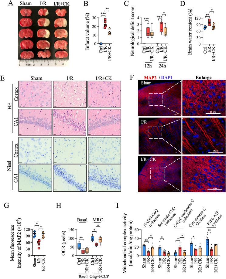 https://cdn.ncbi.nlm.nih.gov/pmc/blobs/0576/10214289/298fe8674283/gr4.jpg