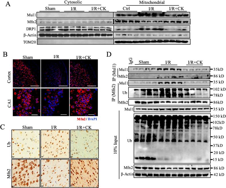 https://cdn.ncbi.nlm.nih.gov/pmc/blobs/0576/10214289/6dc5be3b5b3b/gr6.jpg
