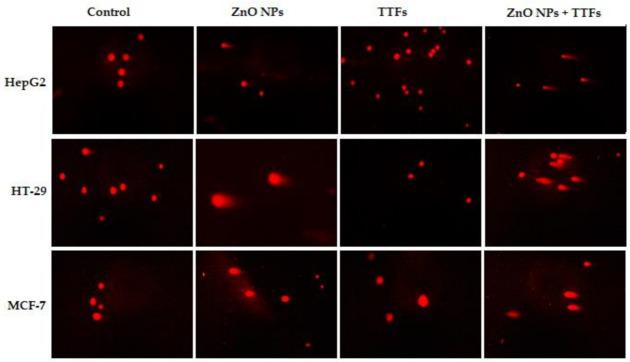 https://cdn.ncbi.nlm.nih.gov/pmc/blobs/0576/9322763/c73367ab2c69/molecules-27-04384-g005.jpg