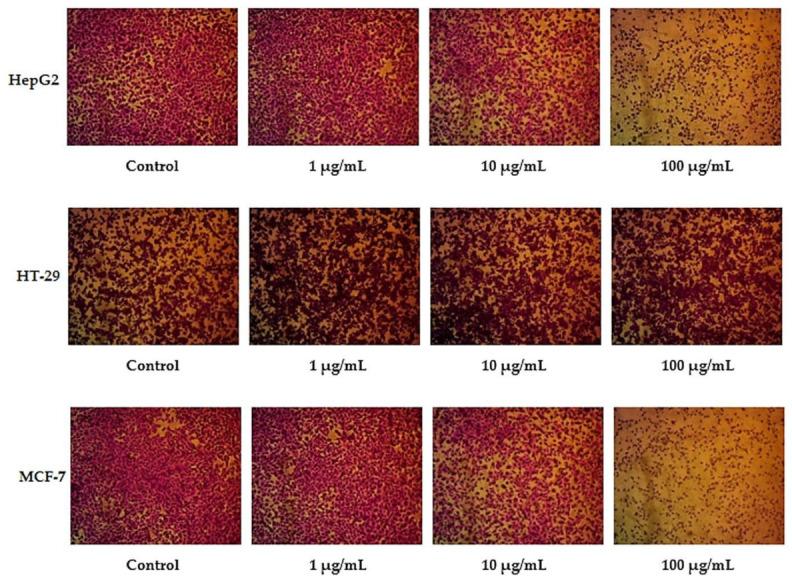 https://cdn.ncbi.nlm.nih.gov/pmc/blobs/0576/9322763/d340b62d71ac/molecules-27-04384-g001.jpg