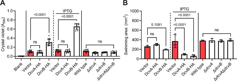 https://cdn.ncbi.nlm.nih.gov/pmc/blobs/0577/12077199/1761554089de/mbio.00039-25.f003.jpg