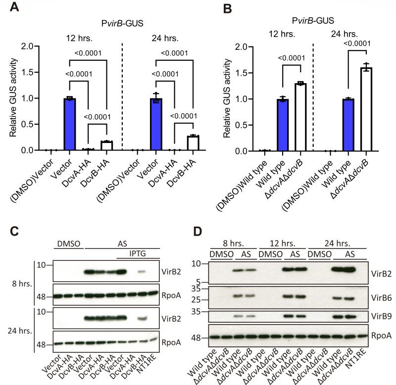 https://cdn.ncbi.nlm.nih.gov/pmc/blobs/0577/12077199/3cba0a2b66ca/mbio.00039-25.f002.jpg