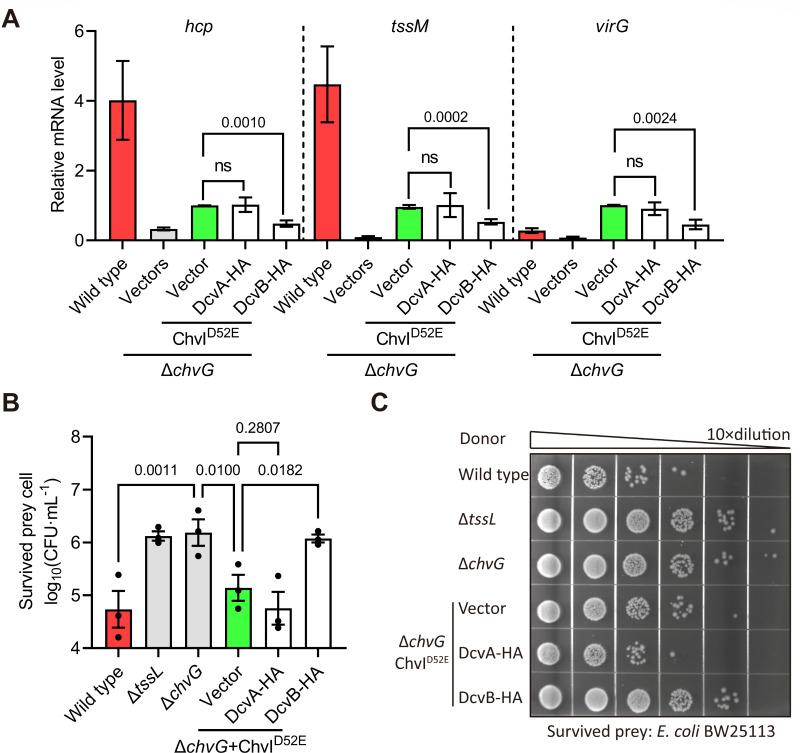 https://cdn.ncbi.nlm.nih.gov/pmc/blobs/0577/12077199/8194977d8fd5/mbio.00039-25.f006.jpg